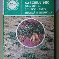 Ion Roventa - Saschiul mic, o valoroasa planta medicinala si ornamentala