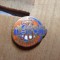 Insigne (10) Industrie Metrom 1920