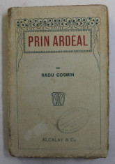 PRIN ARDEAL de RADU COSMIN , 1919 foto