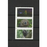 BRAZILIA 2019 FAUNA