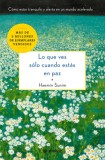 Lo Que Ves S