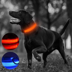 Zgarda luminoasa LED, marimea M, 3 moduri de iluminare - Rosu