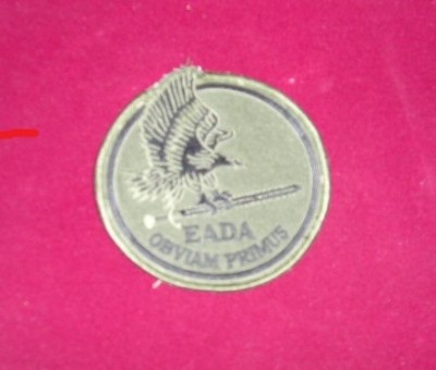 C7 89 - Ecuson tematica militara - strain - piesa de colectie! foto