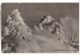 CPIB 22694 - CARTE POSTALA - POSTAVARUL, CREASTA COCOSULUI, RPR