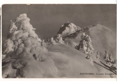 CPIB 22694 - CARTE POSTALA - POSTAVARUL, CREASTA COCOSULUI, RPR foto