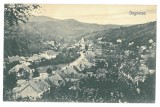 1472 - DOGNECEA, Caras-Severin, Panorama, Romania - old postcard - unused