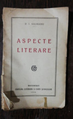 ASPECTE LITERARE - D.I.SUCHIANU foto