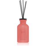 Ipuro Classic Orchid&eacute;e difuzor de aroma 240 ml