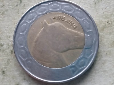 ALGERIA-100 DINARS 1993 foto