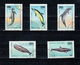 A12 S5 5 - Timbre foarte vechi - Cuba - delfini, Fauna, Stampilat