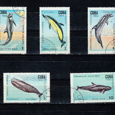 M2 TS3 7 - Timbre foarte vechi - Cuba - delfini