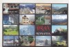 Bnk cp Bran - Vedere - necirculata, Printata, Brasov