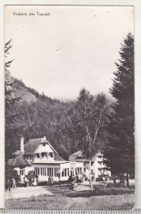 bnk cp Tusnad - Vedere - circulata foto