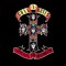 Guns N Roses Appetite For Destruction remaster 2018 (cd)