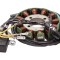 Stator aprindere ATV 250 cc, 12 bobine Cod Produs: MX_NEW ISKATRZ12504TJOY012