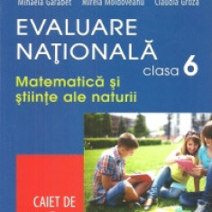 Evaluare Nationala clasa a VI-a. Matematica si Stiinte ale naturii. Caiet de pregatire