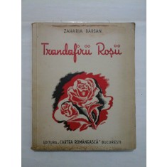 Trandafirii Rosii - ZAHARIA BARSAN