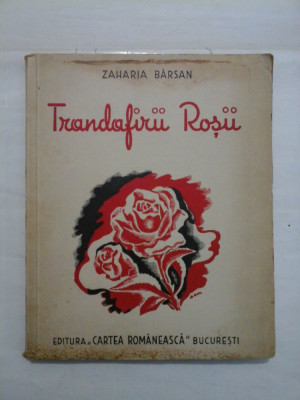 Trandafirii Rosii - ZAHARIA BARSAN foto