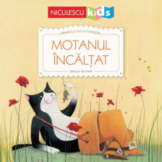 Motanul încălțat (Seria Primele mele povești) - Paperback - Ursula Bucher - Niculescu