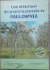 Cum sa Faci Bani din Propria Ta Plantatie de Paulownia - Idei de afaceri, 2014