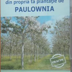 Cum sa Faci Bani din Propria Ta Plantatie de Paulownia - Idei de afaceri