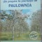Cum sa Faci Bani din Propria Ta Plantatie de Paulownia - Idei de afaceri