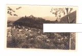 CP Cisnadioara - Vedere generala, interbelica, necirculata, stare foarte buna, Fotografie, Sibiu