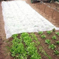 Folie anti inghet, microporoasa tip agril, 17 g/mp, rola 3.2x10 m, reutilizabila foto