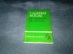 CALISTRAT HOGAS - PE DRUMURI DE MUNTE VOL II