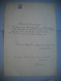 HOPCT DOCUMENT VECHI NR 448 GRUNBERG PUICA-EVREU-SCOALA NR 3 FETE BOTOSANI 1948