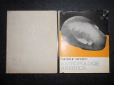 Gheorghe Ghitescu - Antropologie artistica 2 volume (1979, editie cartonata)