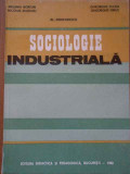 Sociologie Industriala - M. Bortun N. Bujdoiu Al. Deniforescu Gh. Fulga Gh.,288360, Didactica Si Pedagogica