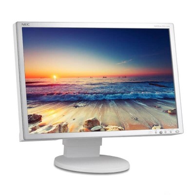 Monitoare LCD NEC MultiSync EA221WMe foto