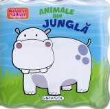 Animale din junglă. Mă joc &icirc;n cădiță! - Board book - *** - Girasol