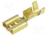Terminal tip plat, pentru surub {{Orificiu pentru &amp;#351;urub}}, IMP - 670.08.00.9