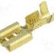 Terminal tip plat, pentru surub {{Orificiu pentru &amp;#351;urub}}, IMP - 670.08.00.9