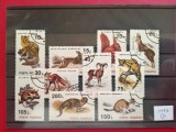 1993 - ANIMALE