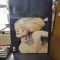 Vinil The Edgar Winter Group - They Only Come Out at Night -