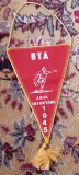 D9 22 - fanion - sport - cluburi sportive - UTA Arad - Batrana doamna