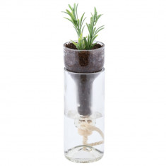 Dispozitiv irigator pentru plante, Esschert, 7.5 x 7.5 x 21 cm, sticla/bumbac/pluta