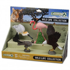 Set 4 figurine Animale salbatice Collecta, 16 x 10 x 18 cm, plastic cauciucat, 3 ani+