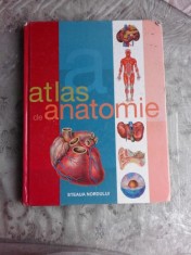 ATLAS DE ANATOMIE foto