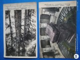Paris -Palatul Invalizilor ,doua carti postale interesante , ,Anii 1920
