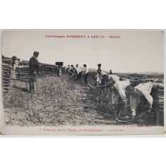 LUCRATORI LA PODGORIE IN CHAMPAGNE , FRANTA , CARTE POSTALA , INCEPUTUL SEC. XX