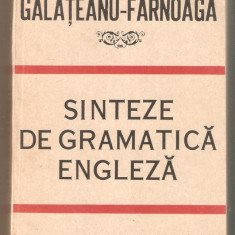 Georgiana Galateanu-Farnoaga-Sinteze de gramatica engleza
