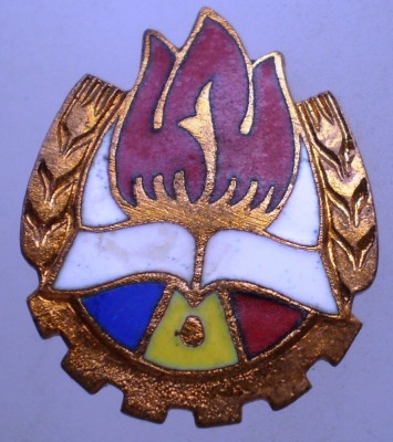 I.623 INSIGNA ROMANIA PIONIERI PIONIER ac rupt foto