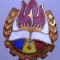 I.623 INSIGNA ROMANIA PIONIERI PIONIER ac rupt