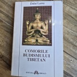 COMORILE BUDISMULUI TIBETAN - DALAI LAMA
