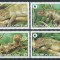 Insulele Solomon 2005 Mi 1282/85 MNH - WWF, fauna, reptile