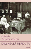 Dimineaţă pierdută - Paperback brosat - Gabriela Adameşteanu - Polirom